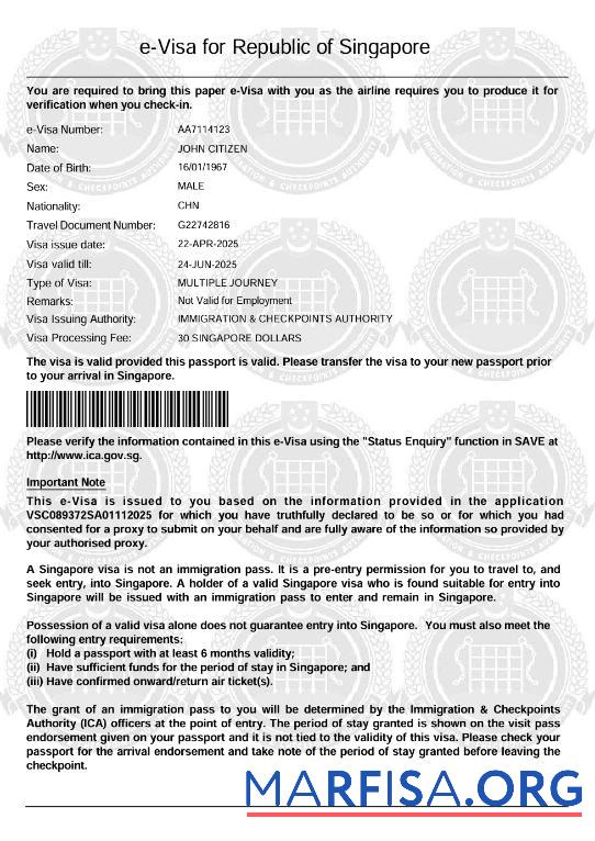 Downloadable Singapore e visa template in Word and Pdf formats